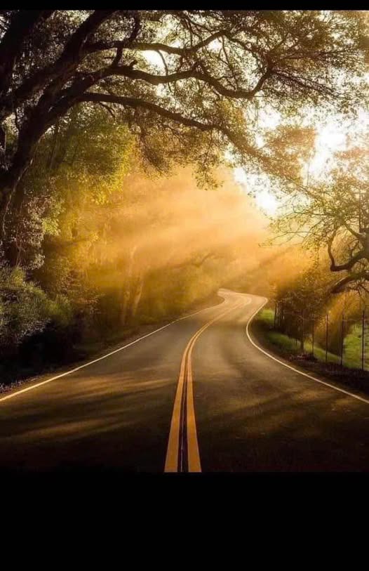 Đất nền đẹp tại Bản Áng, Đông Sang, Mộc Châu 210m² giá 2.6 tỷ - Vị trí thuận lợi chờ bạn xây dựng!