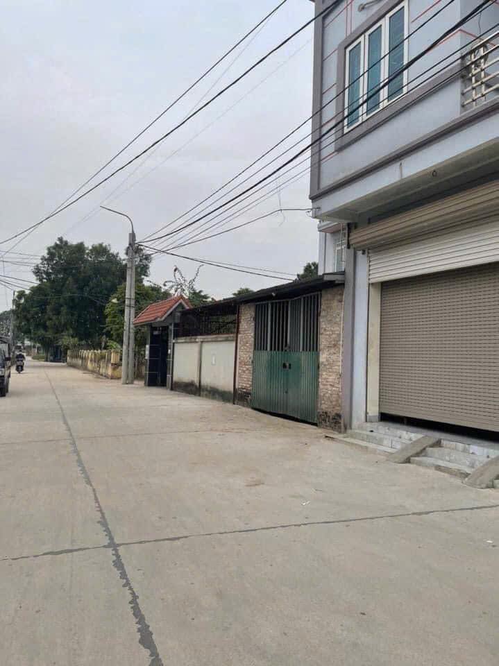 Đất nền xã Chương Dương, Thường Tín 100m² giá chỉ 4x - Cơ hội đầu tư hấp dẫn!