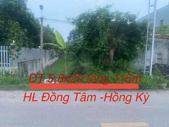 Đất đấu giá mặt đường nhựa huyện Yên Phong, Bắc Ninh 116m² - Cơ hội đầu tư hấp dẫn!