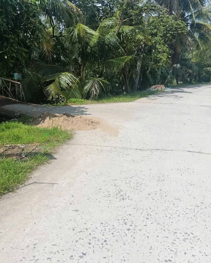 Đất thổ cư Tân Hưng, Ô Môn, Cần Thơ 244m² giá 560 triệu - Đầu tư xây nhà ngay!