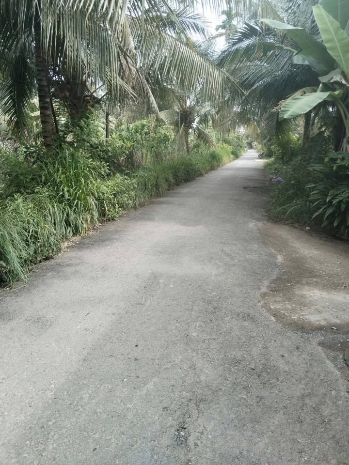 Đất nền 2 mặt tiền tại ấp Dừa Đỏ 2, Càng Long, Trà Vinh - Chỉ 550 triệu