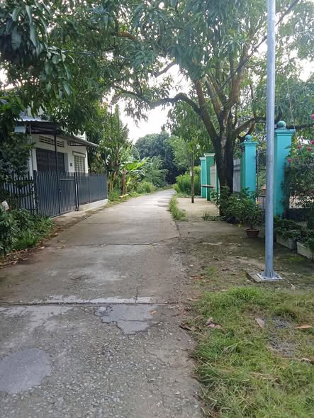 Nhà giá rẻ đường Cái Tôm, xã Hòa An, TP. Cao Lãnh 150m² - Đầu tư sinh lời nhanh!