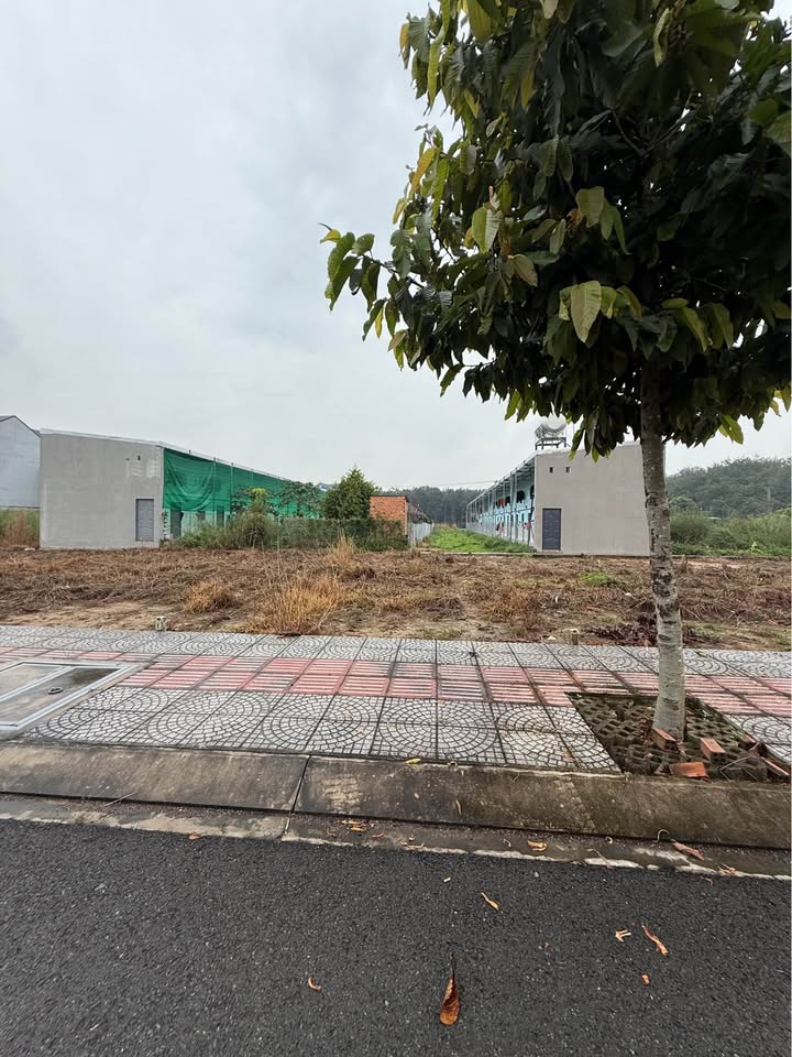 Đất thổ cư Tân Hiệp, Tân Uyên 65m² giá chỉ 1.3 tỷ - Cơ hội đầu tư tuyệt vời!