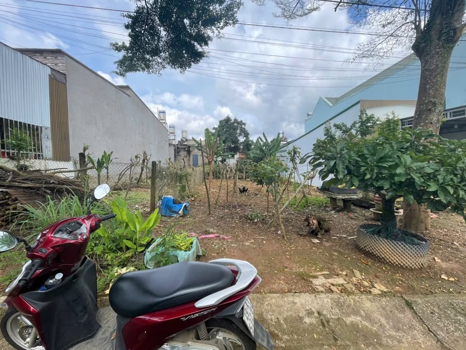 Đất nền Tố Hữu, P. Lộc Sơn, TP. Bảo Lộc 116m² giá 1.65 tỷ - Sổ hồng chính chủ