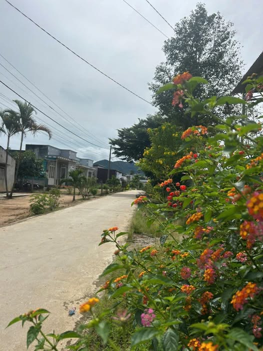 Lô đất Bêtông Ka Đơn, Đơn Dương, Lâm Đồng 7905m² - Đầu tư sinh lời hấp dẫn!