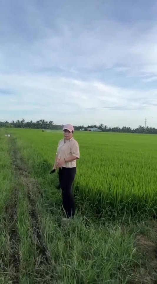 Đất ruộng 4.500m² mặt tiền kênh Bình La - Giá chỉ 4.5 tỷ - Cơ hội đầu tư tuyệt vời!