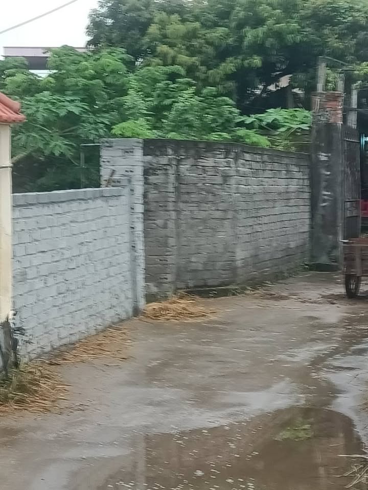 Đất nền xã Hà Kỳ Tứ Kỳ 227m² giá 1.4 tỷ - Sổ hồng chính chủ!