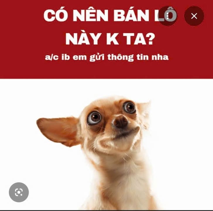 Đất nền xã Ân Hòa Kim Sơn 138m² giá rẻ - Đầu tư sinh lời ngay!