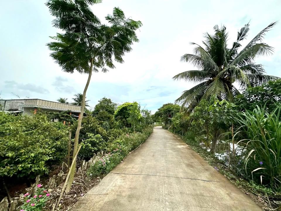 Đất Vườn 1000m² mặt tiền Kênh Rạch Gõ - Giá chỉ 1 tỷ VND!