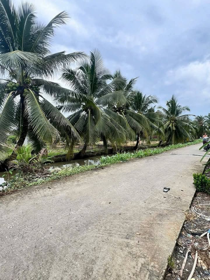 Đất nền Tầm Vu Châu Thành Long An 125m² giá 360 triệu - Đầu tư sinh lời ngay!