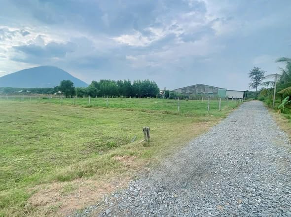 Đất nền Xã Phan, Dương Minh Châu 315m² chỉ 290 triệu - Cơ hội đầu tư hấp dẫn!