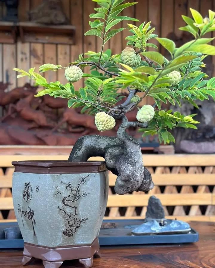 FrontHouse Đà Nẵng 1269m² giá 399.999 tỷ - Vị trí kim cương xây khách sạn đẳng cấp!