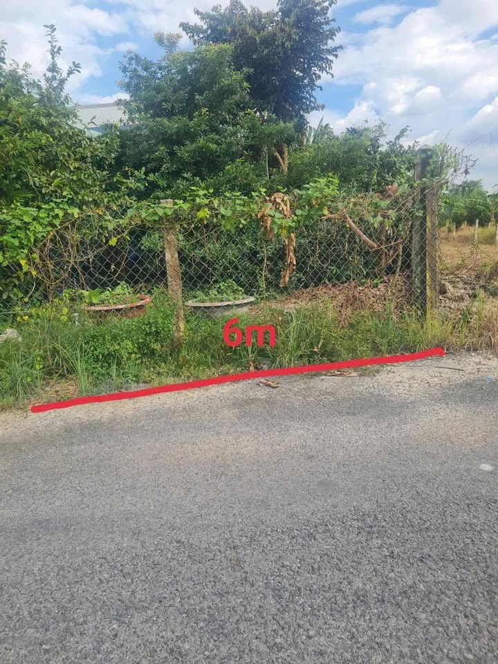 Đất nền 485m² tại xã Bình Lãng, Tân Trụ - Giá chỉ 1.25 tỷ!