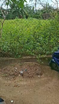 Lô đất thôn Bình Đông, Nghĩa Hành 138m² giá chỉ 4xx triệu - Đường bê tông thông thoáng!