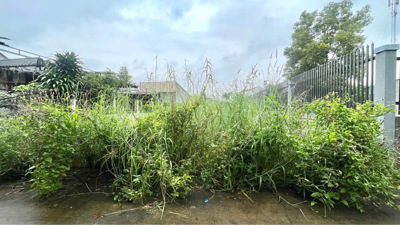 Đất nền mặt tiền Tân An Hội, Củ Chi 450m² - Tiềm năng đầu tư cao!