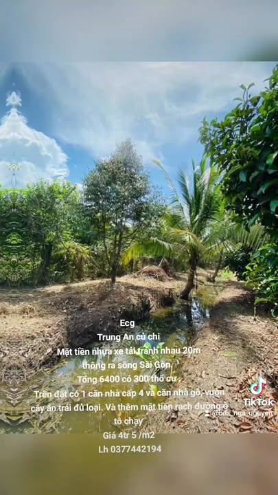 Đất nền Củ Chi 6400m² giá 28.8 tỷ - Mặt tiền nhựa xe tải, thông ra sông Sài Gòn!