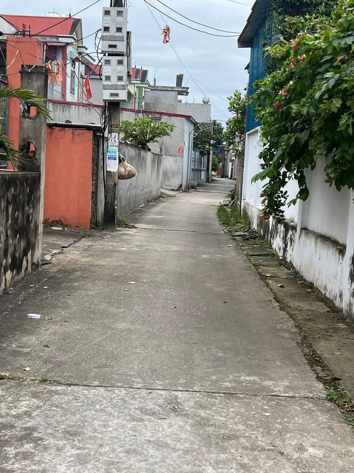 Đất nền góc 2 mặt tiền tại khu phố Hôm - Đào Viên, 87m² giá 1 tỷ - Cơ hội đầu tư tuyệt vời!