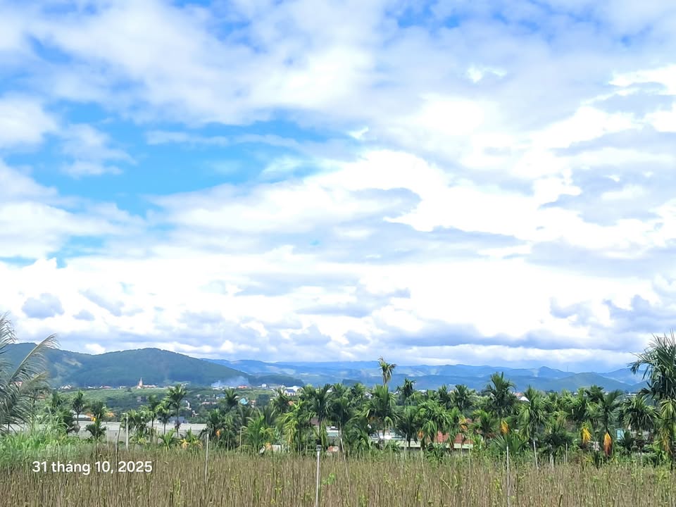 Đất nền Nam Ban Lâm Hà 340m² giá 950 triệu - Cơ hội đầu tư tuyệt vời!