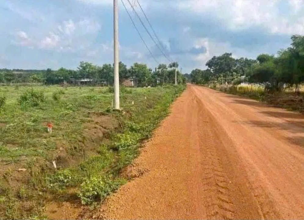 Đất nền Tân Lập, Đồng Phú, Bình Phước 1000m² giá chỉ 250 triệu - Cơ hội đầu tư vàng!