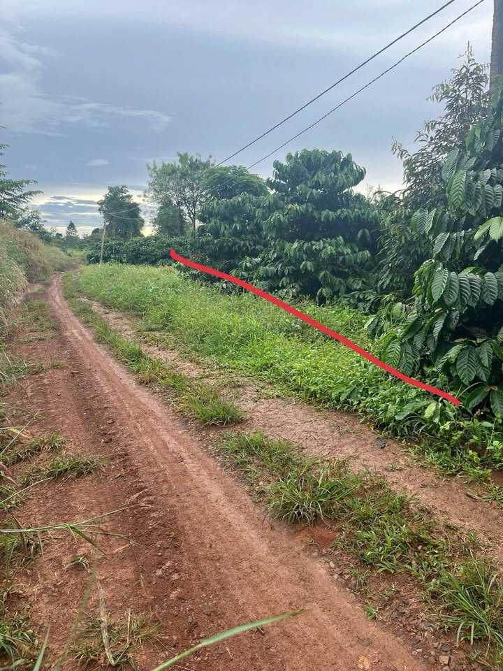 Đất nền Cư M'gar 870m² giá 199 triệu - Sổ hồng chính chủ, ô tô vào tận nơi!