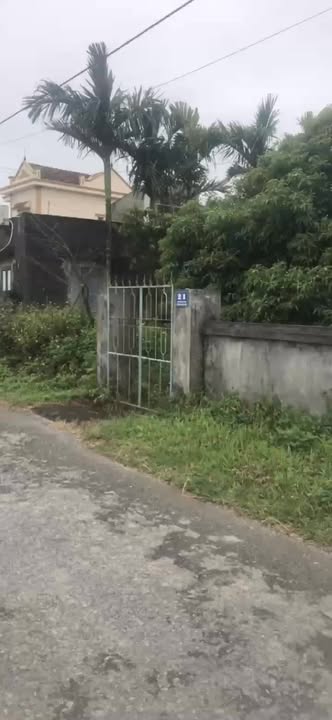 Đất nền Ninh Giang 200m² giá 3.03 tỷ - Chính chủ bán gấp!