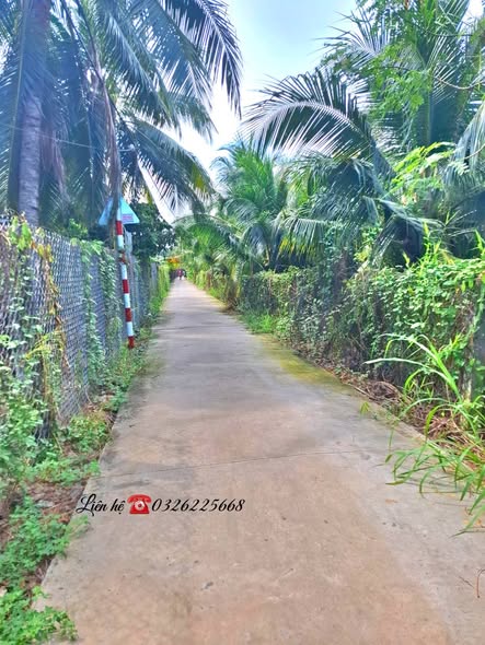 Đất nền 503m² xã Trung An, TP Mỹ Tho - Giá 1.9 tỷ, thương lượng ngay!