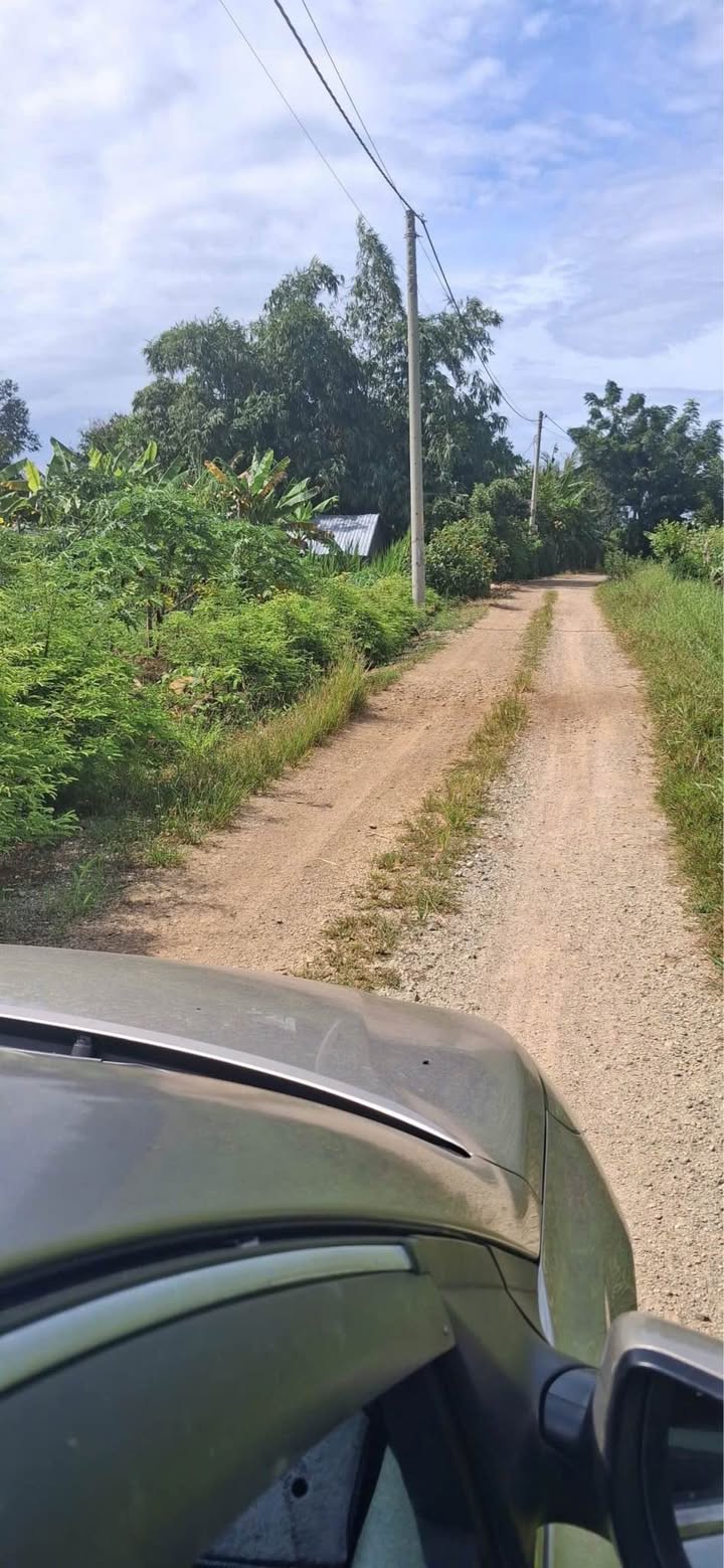 Đất vườn nghỉ dưỡng 3600m² tại Long Tân, Đất Đỏ - Giá chỉ 1.1 tỷ!