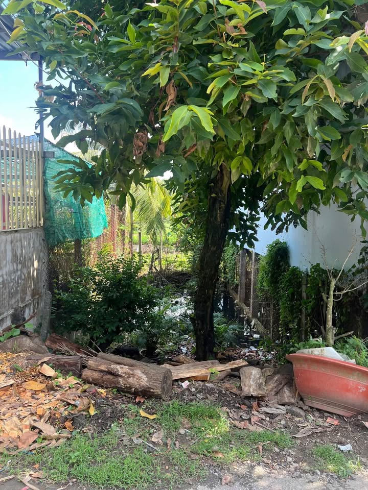 Đất nền đường Mộ, Vĩnh Mỹ, Châu Đốc 51m² giá chỉ 680 triệu - Cơ hội đầu tư tuyệt vời!