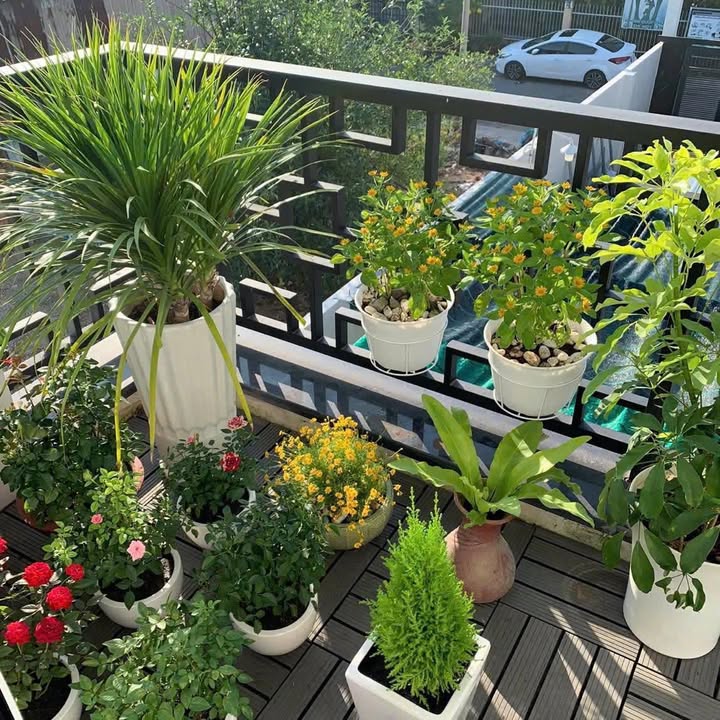 Nhà mặt tiền đường Số 8, Thủ Đức 184m² giá 25 triệu - Chính chủ cho thuê ngay!