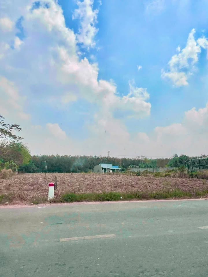 Đất nền Bàu Bàng 1600m² giá 8 tỷ - Mặt tiền ĐT749A, cơ hội đầu tư sinh lời!