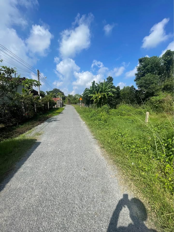 Đất mặt tiền đường nhựa Phước Tây 303m² giá 870 triệu - Đầu tư sinh lời lý tưởng!