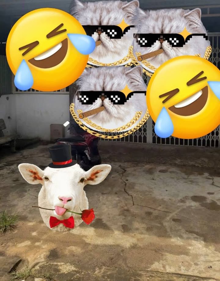 Đất mặt tiền Quốc Lộ 14, Tân An, 270m² giá 6.8 tỷ - Cơ hội đầu tư tuyệt vời!