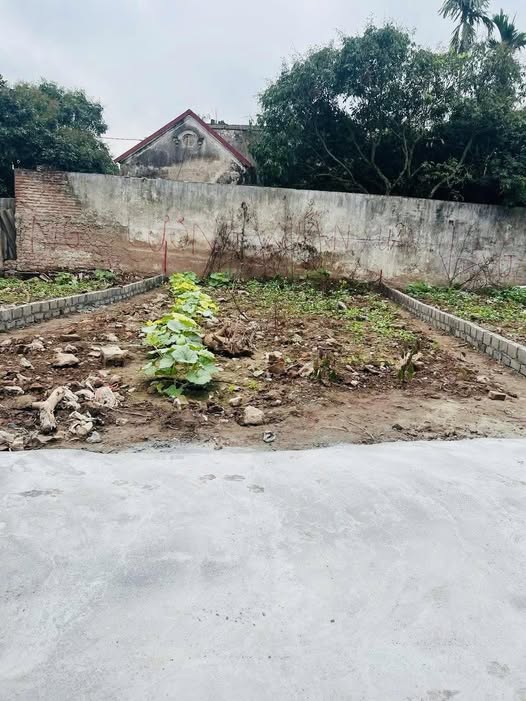 Đất ở Phường Hồng Châu, Thành phố Hưng Yên 71m² giá 1 tỷ - Cơ hội đầu tư tuyệt vời!