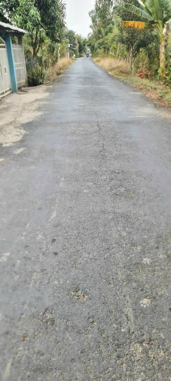 Đất nền mặt tiền nhựa 993m² xã Bình Thành, Thanh Bình - Giá chỉ 900 triệu VND!