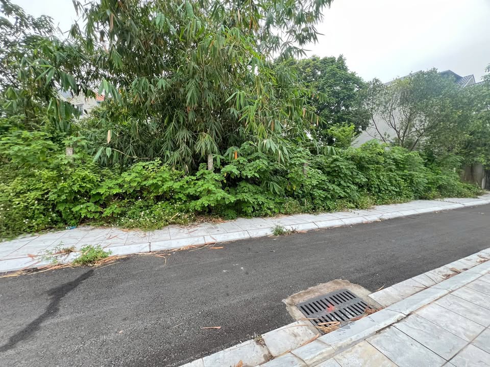 Đất nền mặt tiền 300m² Đồng Tâm Vĩnh Yên - Giá 6 tỷ, view hồ tuyệt đẹp!