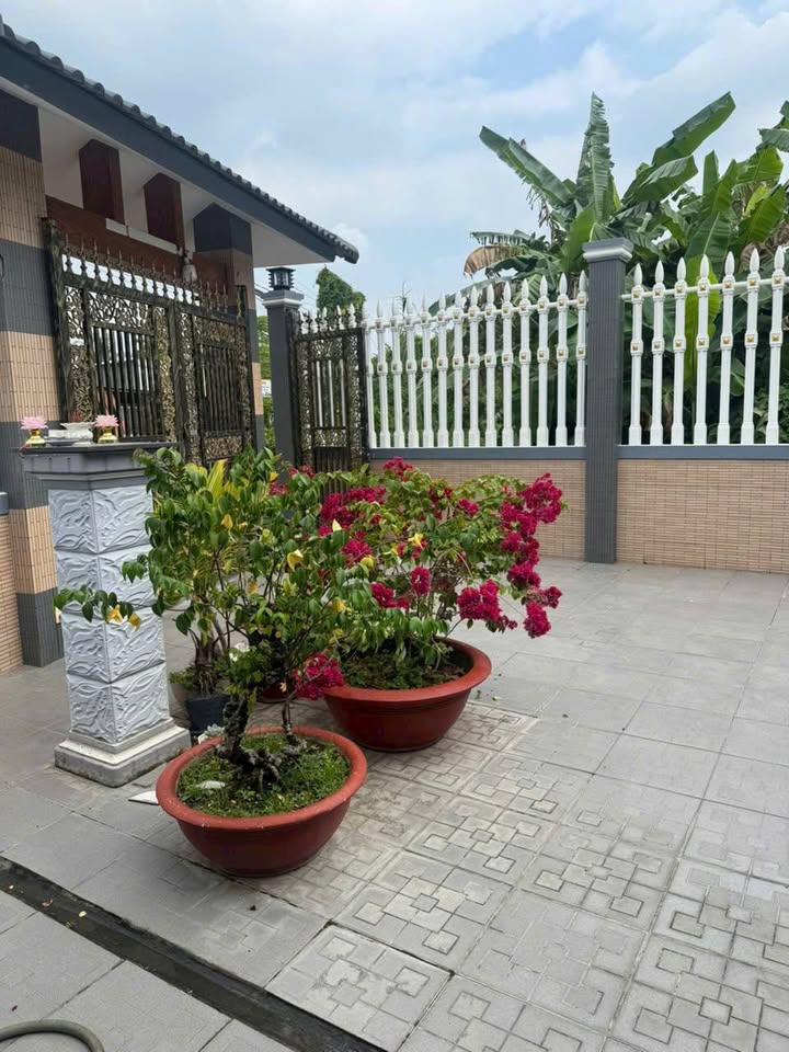 Biệt thự vườn mặt tiền đường Nguyễn Văn Trường - 270m² giá 6.2 tỷ - Thiết kế hiện đại, nội thất cao cấp!