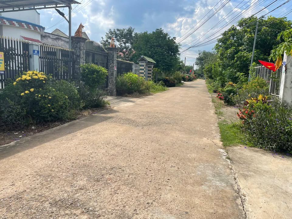 Đất nền Tân Định, Bắc Tân Uyên 318m² giá 1 tỷ - Vị trí đắc địa, sổ hồng chính chủ!