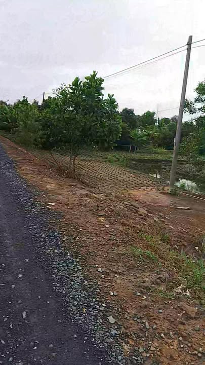 Đất nền 15.000m² xã Thạnh Tân, huyện Tân Phước, giá 2.55 tỷ - Đầu tư sinh lời ngay!