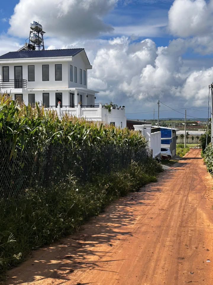 Đất thổ cư 200m² Tân Hội, Đức Trọng chỉ 550 triệu - Cơ hội đầu tư hấp dẫn!