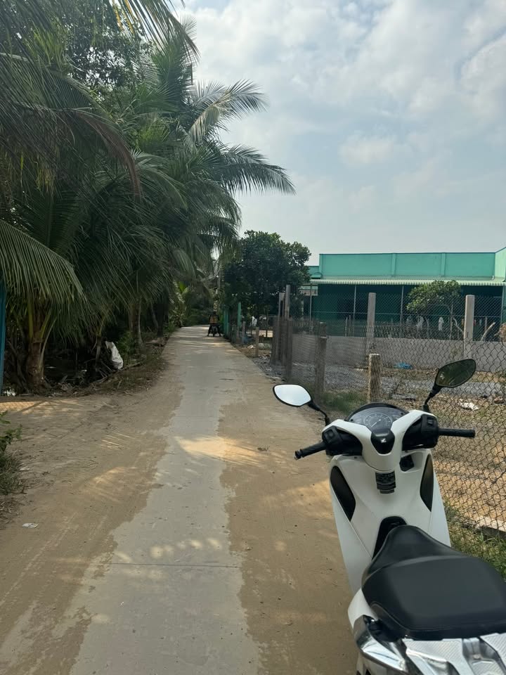 Đất thổ cư 150m² mặt tiền đường Đan, huyện Bến Lức, Long An - Giá chỉ 1.4 tỷ, sẵn sàng giao dịch!