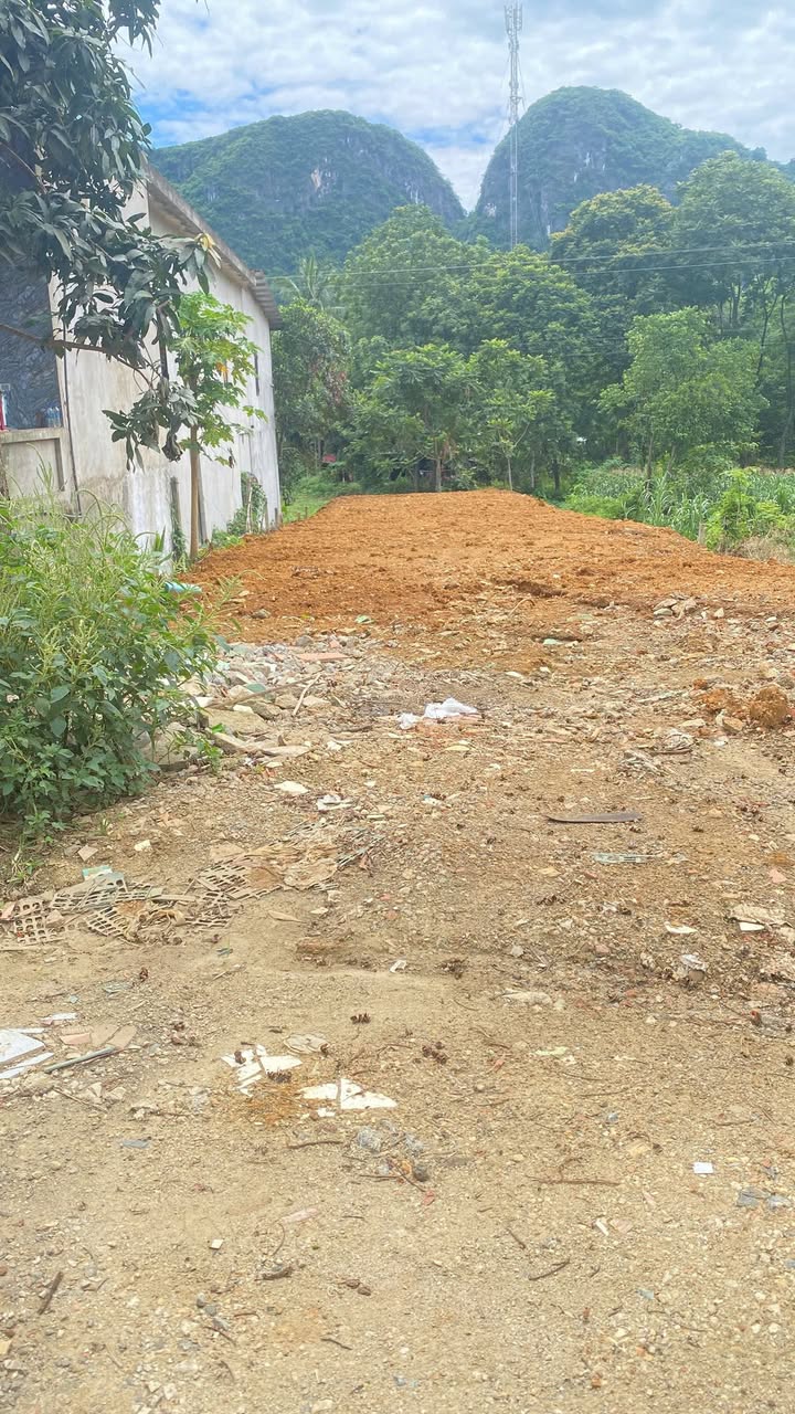 Đất nền 4950m² Minh Sơn Ngọc Lặc - Giá thỏa thuận ưu đãi!