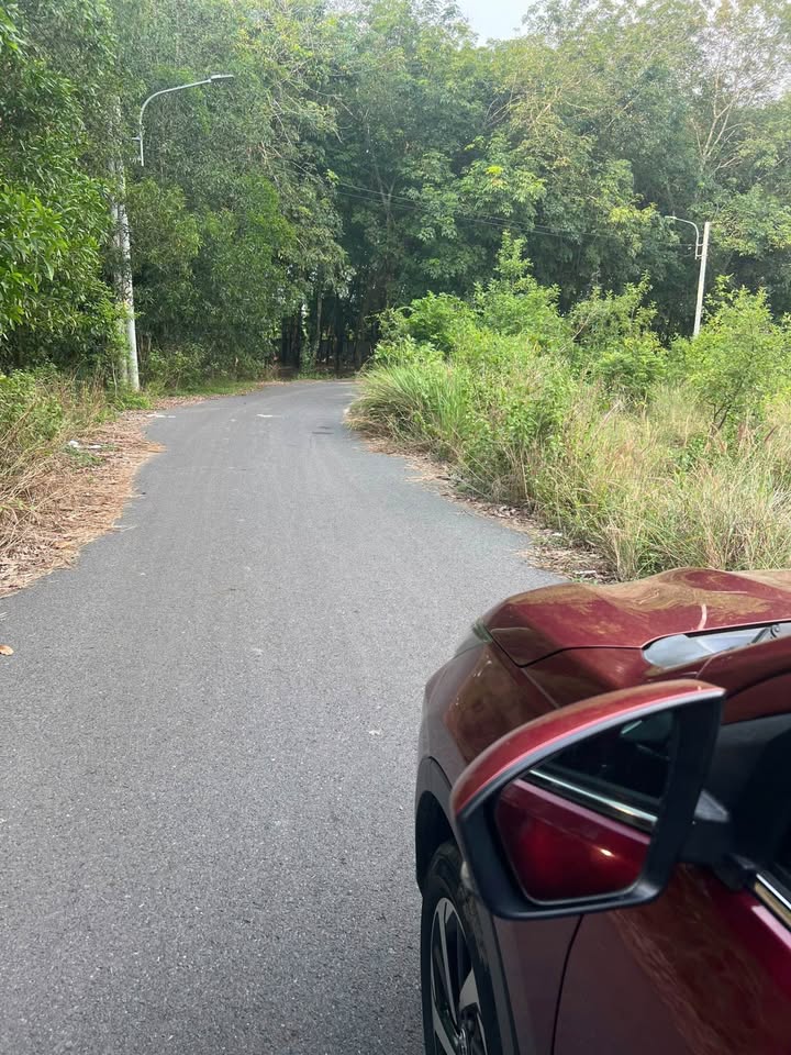 Đất nền Phú An, Bến Cát 7406m² giá 14.812 tỷ - Vị trí đắc địa, tiềm năng sinh lời!