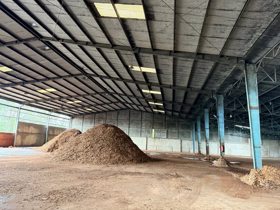 Xưởng cho thuê 2.600m² tại An Viễn, Trảng Bom, Đồng Nai - Giá chỉ 99 triệu/tháng!