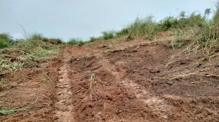 Đất nền 1,2ha tại Đăk Tơ Ver, Chư Păh, Gia Lai - Giá chỉ 550 triệu VND!