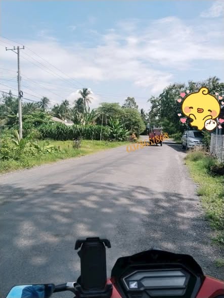 Đất mặt tiền đường lớn Càng Long, Trà Vinh 1000m² giá 1.3 tỷ - Đầu tư sinh lời ngay!