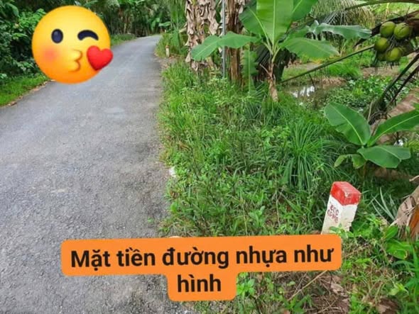 Đất nền Nhị Long, Càng Long, Trà Vinh 1500m² giá 850 triệu - Cơ hội đầu tư hấp dẫn!