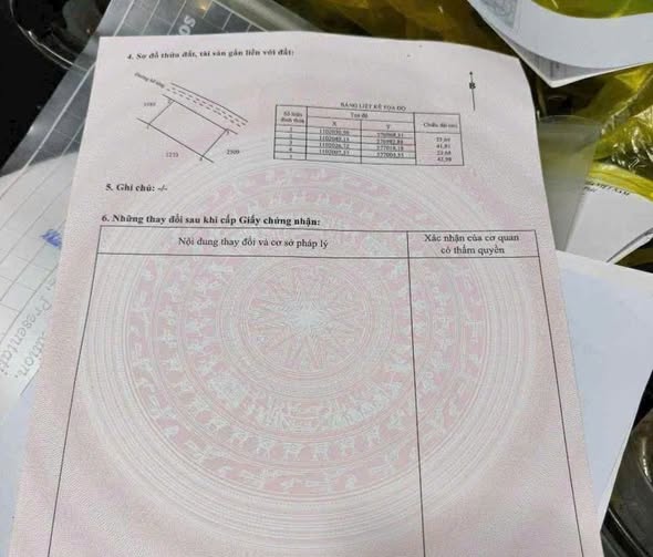 Đất lúa 1000m² tại xã An Trường, huyện Càng Long, Trà Vinh - Giá chỉ 550 triệu - Cơ hội đầu tư tuyệt vời!