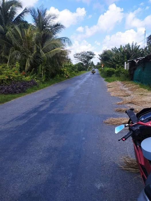 Đất vườn 1 công tại xã Đức Mỹ, huyện Càng Long - Giá chỉ 835 triệu, thuận lợi cho đầu tư!