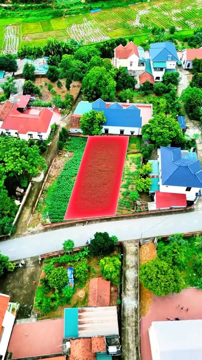 Đất khu 3 mới Thanh Đình 225m² giá 2.65 tỷ - Mặt tiền 9m, đẹp tuyệt vời!