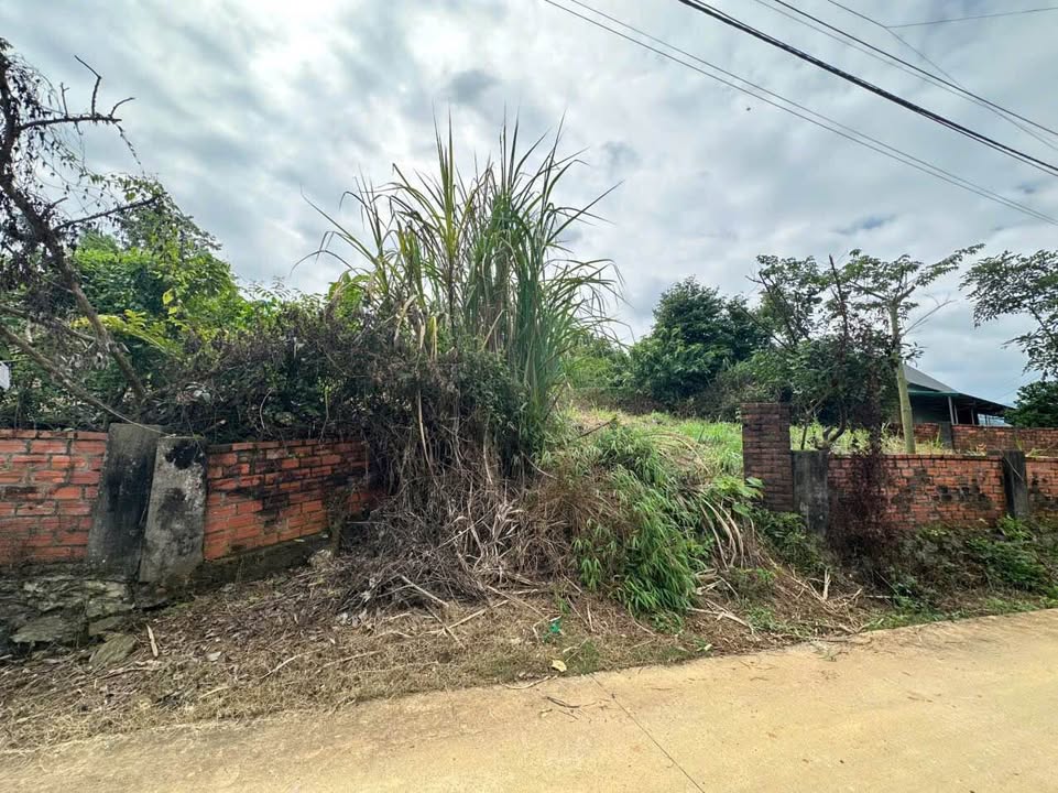 Đất nền Yên Bài Ba Vì 1000m² giá 6 tỷ - Lưng tựa núi, view tuyệt đẹp!